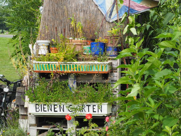 strebergarten、ベルリンの野生 - tempelhof ストックフォトと画像