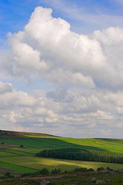 istock Countryside - Blue and Green 90907823