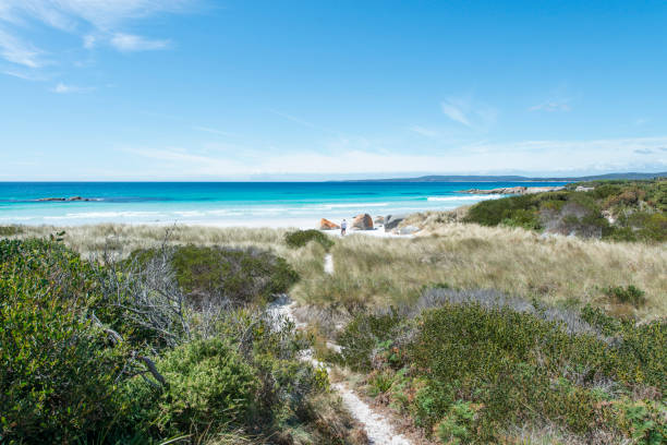 istock Bay of Fires, Tasmania, Australia 909079926