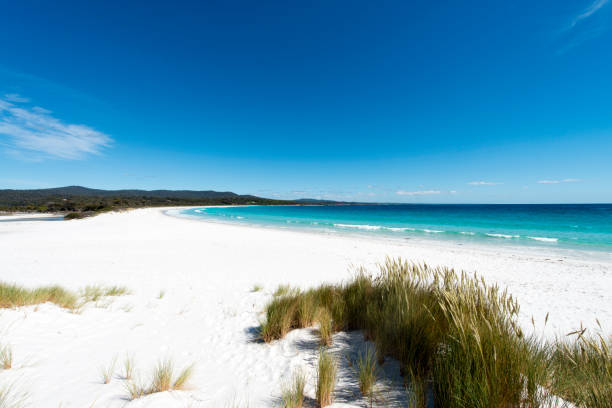 istock Bay of Fires, Tasmania, Australia 909080294