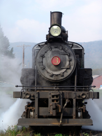 Coal burning K-36 steam locomotive moving toward camera on narrow gauge track.