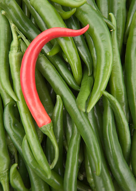 single red pepper in a box of green peppers single red pepper in a box of green peppers capsicum annuum longum stock pictures, royalty-free photos & images