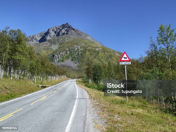 Strada Panoramica E Renne Avviso - Fotografie stock e altre immagini di Estate - Estate, Foresta, Norvegia