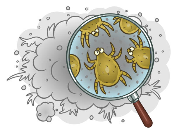 Dust mites in dust Dust mites in the magnifying glass inside the dust. medium group of animals stock illustrations