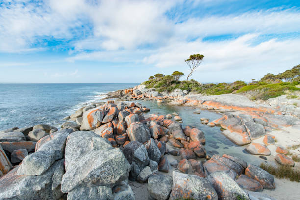 istock Bay of Fires, Tasmania, Australia 909089308