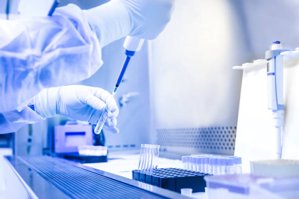 istock The scientist experimented in the laboratory 909089478
