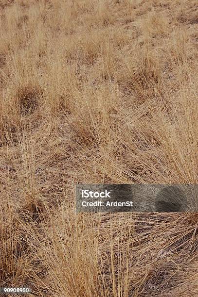 Stroh Gras Stockfoto und mehr Bilder von Bildhintergrund - Bildhintergrund, Braun, Farbbild