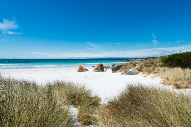 istock Bay of Fires, Tasmania, Australia 909089690