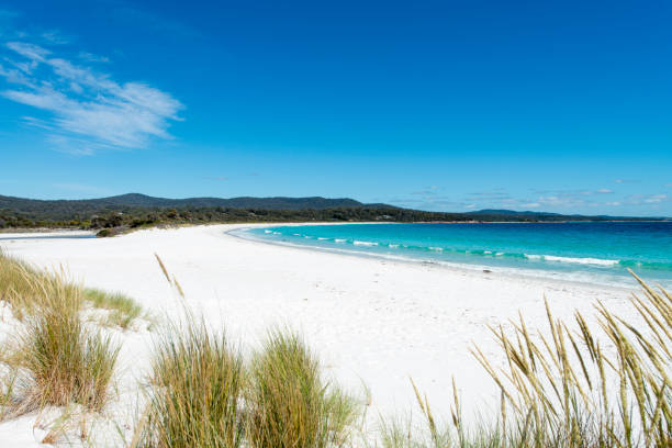 istock Bay of Fires, Tasmania, Australia 909092082