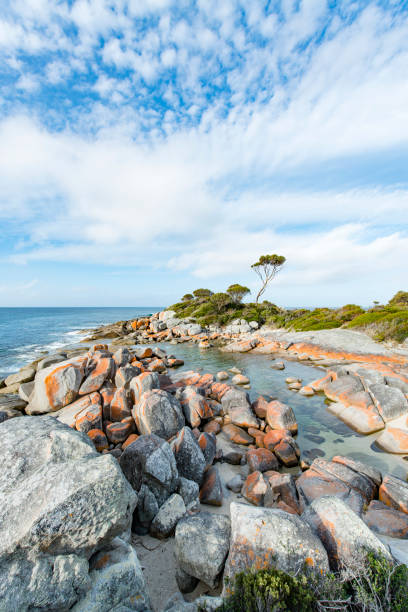 istock Bay of Fires, Tasmania, Australia 909092636