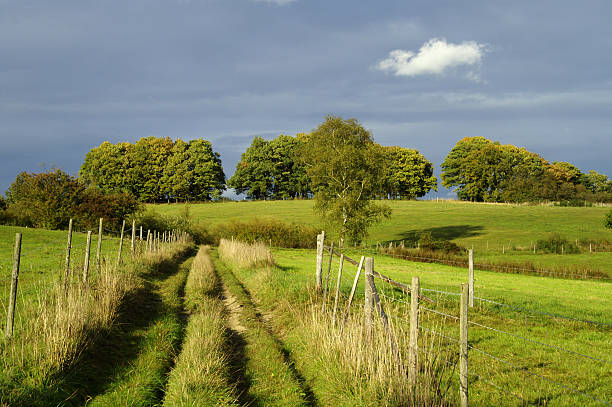 paisagem na frente de uma tempestade com trovoadaweather condition - leafes autumn grass nature imagens e fotografias de stock