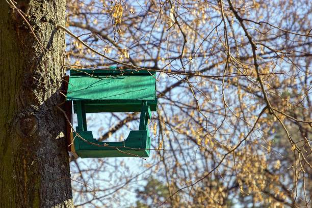 alimentador do pássaro de madeira verde na árvore - maisonette - fotografias e filmes do acervo