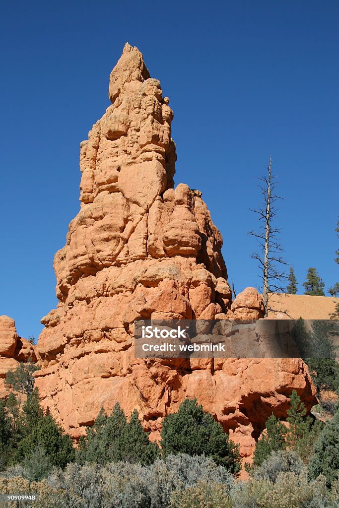 Hoodoo and Tree Highlighted against a cobalt-blue sky, a bleached pine is seen next to a distinctive hoodoo rock formation in Red Canyon, Utah. Arrangement Stock Photo