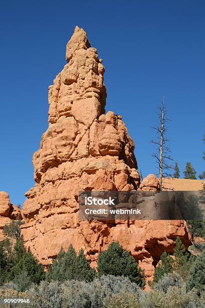 Hoodoo And Tree Stock Photo - Download Image Now - Arrangement, Blue, Canyon