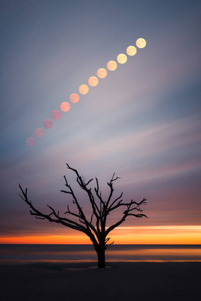 istock Full moon rising over Botany Bay beach 909101880