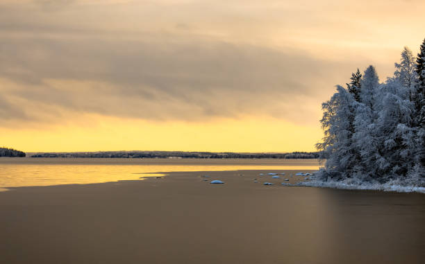 istock Winter landscape from Sotkamo, Finland. 909105244