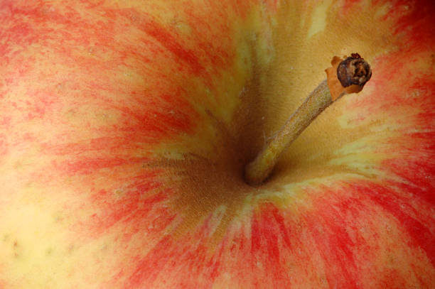 istock Macro zoom of an apple 90910790