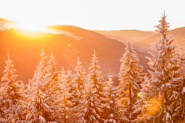 Sunrise at winter forest mountains