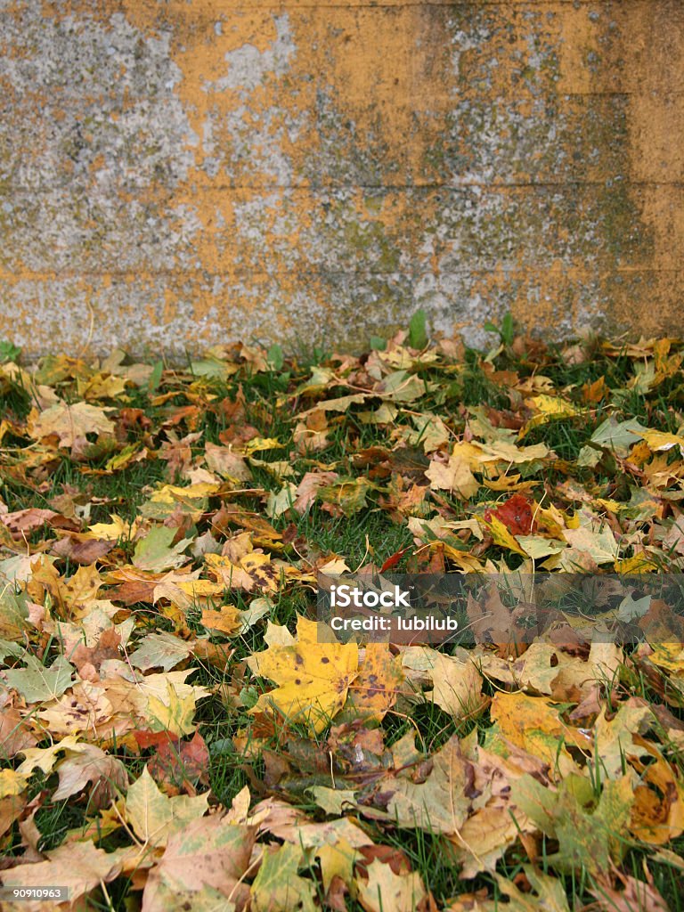 가을 낙엽: 벽면 - 로열티 프리 0명 스톡 사진