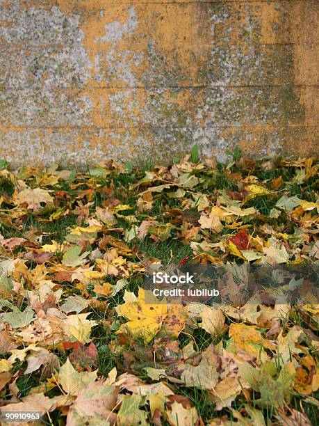 가을 낙엽 벽면 0명에 대한 스톡 사진 및 기타 이미지 - 0명, 가을, 갈색