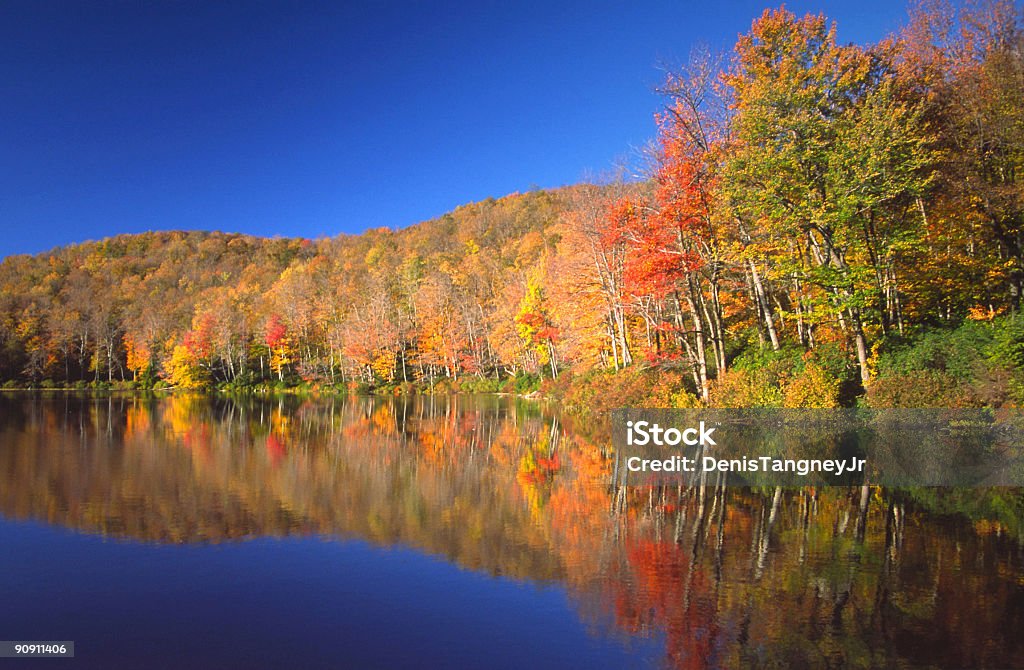 Herbst Reflexion - Lizenzfrei Berkshires Stock-Foto
