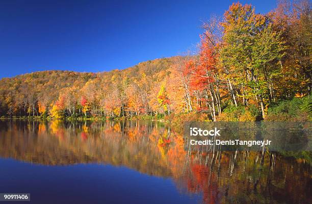 Herbst Reflexion Stockfoto und mehr Bilder von Berkshires - Berkshires, Massachusetts, Baum