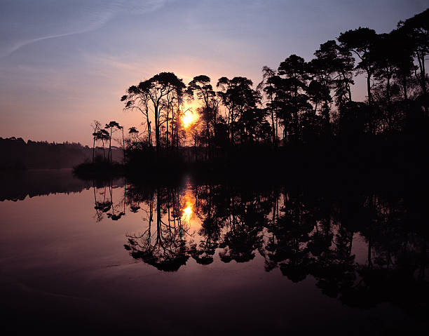 istock Lake Esch, The Netherlands. 90911465