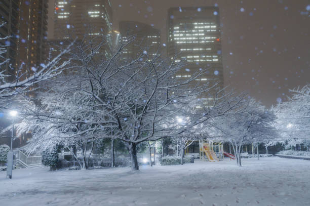 istock Snowy day in Tokyo 909115562