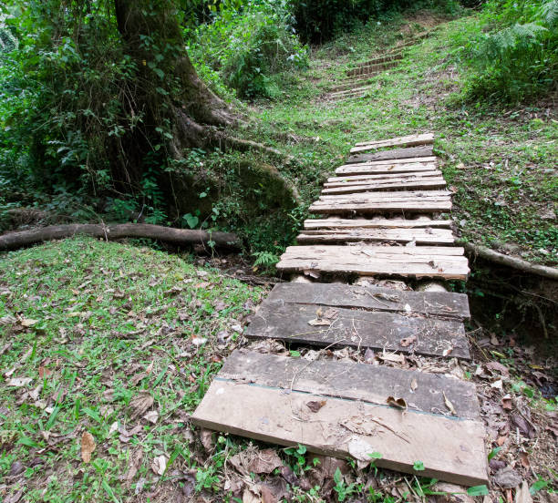 istock Wooden bridge over stream in forest 909118402