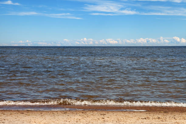 istock Shore of Baltic sea. 909118654