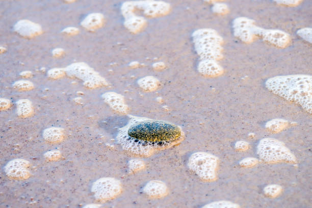 istock sandy beach with pebble and spray of the surf 909118978