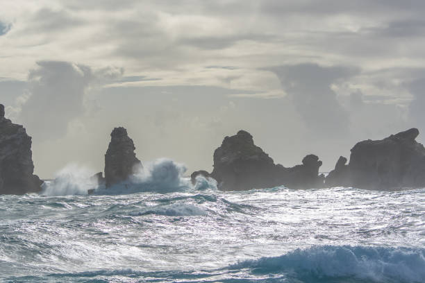 istock Guadeloupe, the pointe des Chateaux 909119022