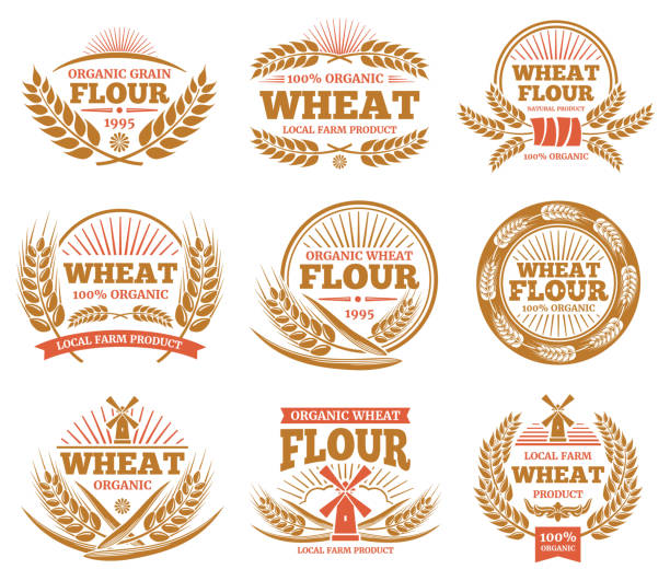 Wheat grain product and bread vector labels. Nature wheat ears badges Wheat grain product and bread vector labels. Nature wheat ears badges. Agriculture sticker and label, wheat and organic flour illustration flour label designs stock illustrations