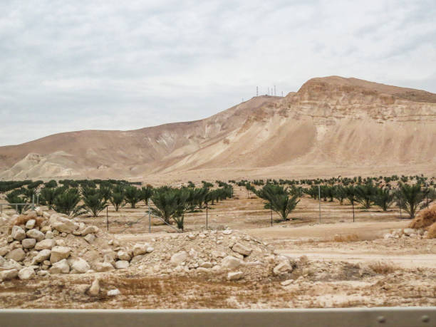 istock Tiberias, ISRAEL 909122878