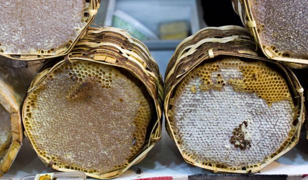 istock Fresh honey in the sealed comb frame 909123298