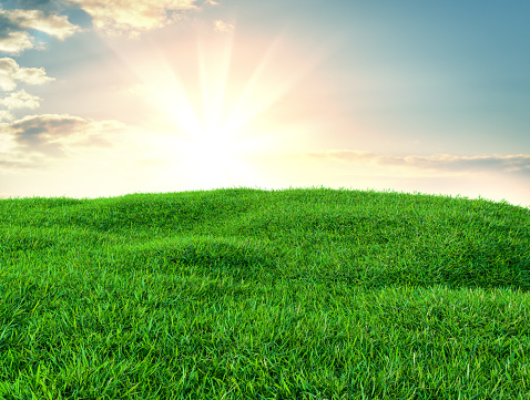 Green grass field on small hills and blue sky with clouds. 3d illustration