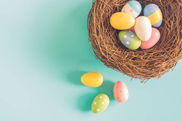 istock Colorful easter eggs in nest on pastel color background with space. 909129108