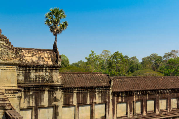 istock Cambodia, Angkor Archaeological Park 909129522