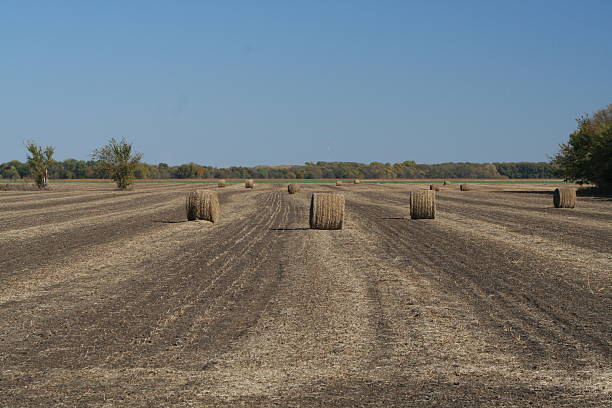 bales stock photo