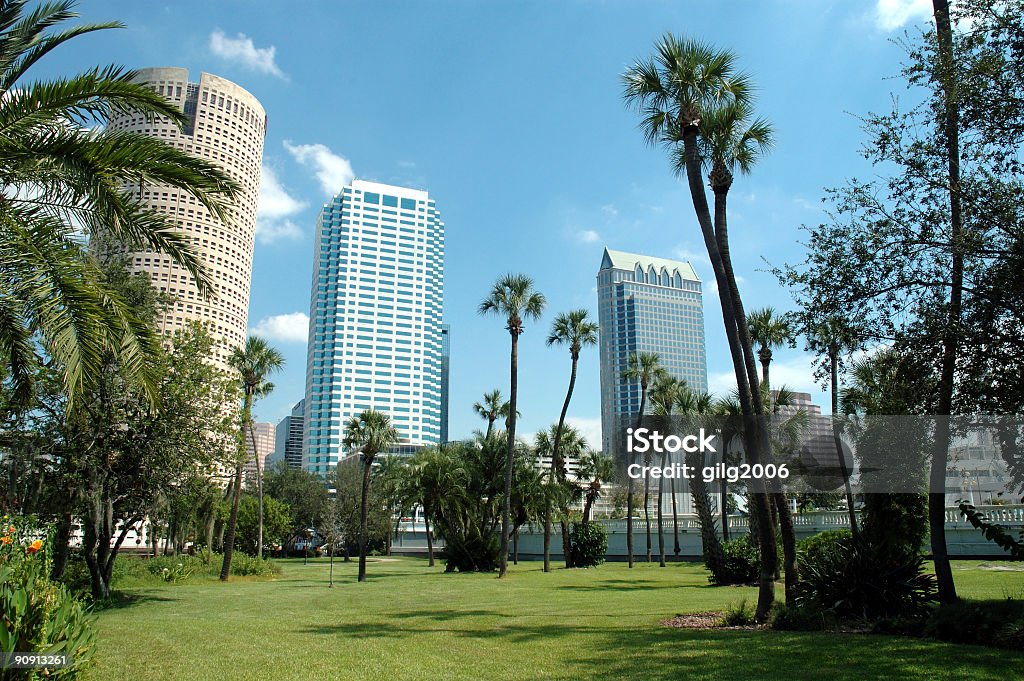 Downtown Tampa - From Plant Park  Tampa Stock Photo