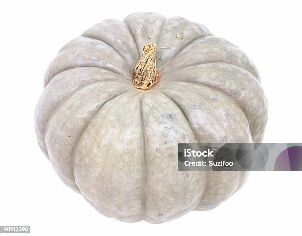 Blue Pumpkin Stock Photo - Download Image Now - Cut Out, Gourd, Blue