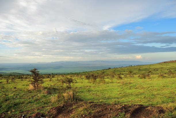 istock Tanzania scenery, Africa 909134420