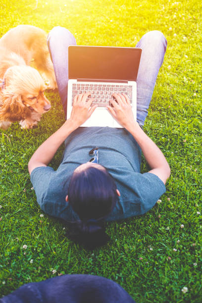 istock Young man is studying on laptop 909135188