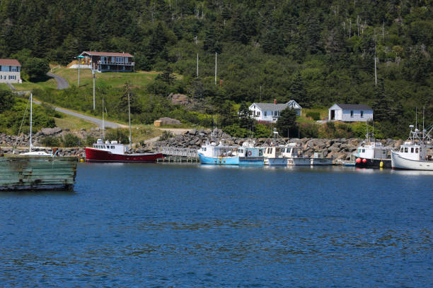 istock Boats at Tiverton, Digby county, Nova Scotia, Canada 909135732