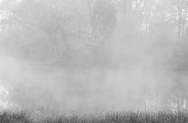 istock Heavy fog over the lake 90913620
