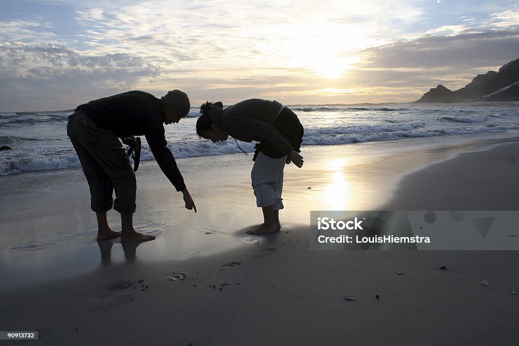 Discovery  Adult Stock Photo