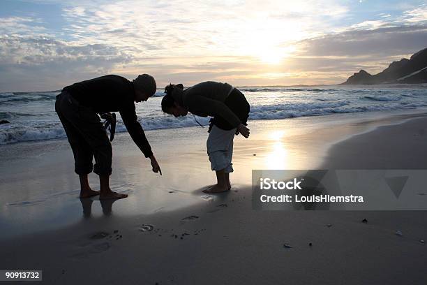 Discovery Stock Photo - Download Image Now - Adult, Animal, Animal Shell