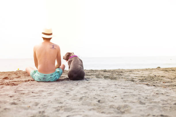 istock Young adult resting at the beach 909138462