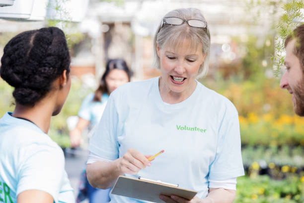 istock Volunteer working in plant nursery 909139038