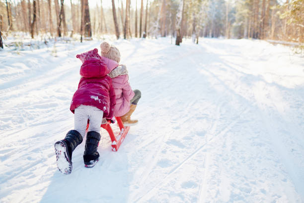 istock Girl pushing sledge while riding with sister 909142340